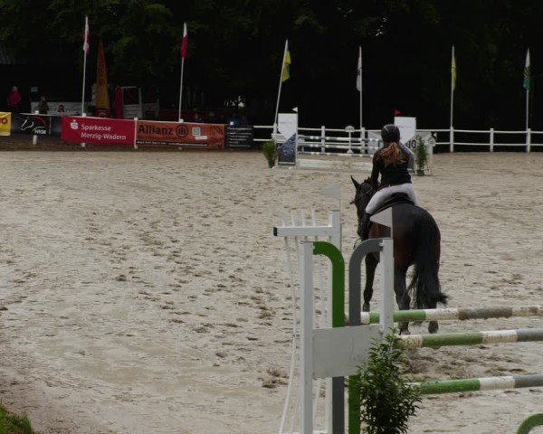 Reitturnier Losheim am See 2024