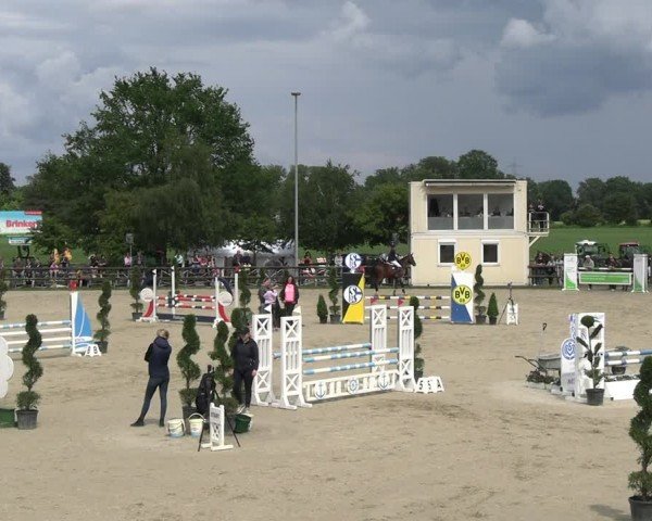 Reitturnier Kirchhellen/Stall Dieckmann 2024