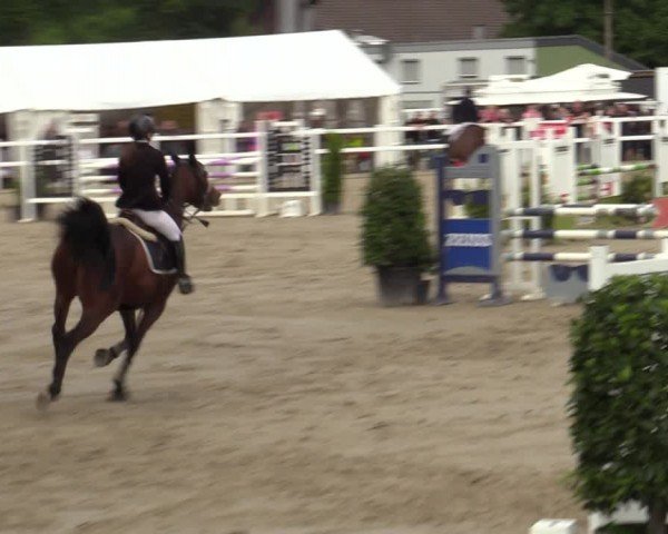 Reitturnier Dortmund-Somborn 2024