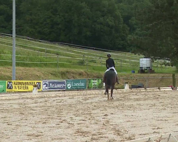 Reitturnier Münster/Ndb. 2024