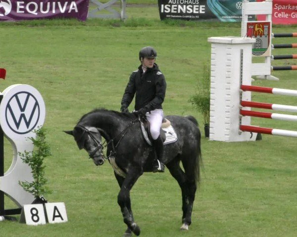 Reitturnier Wolfsburger Klassiker 2024
