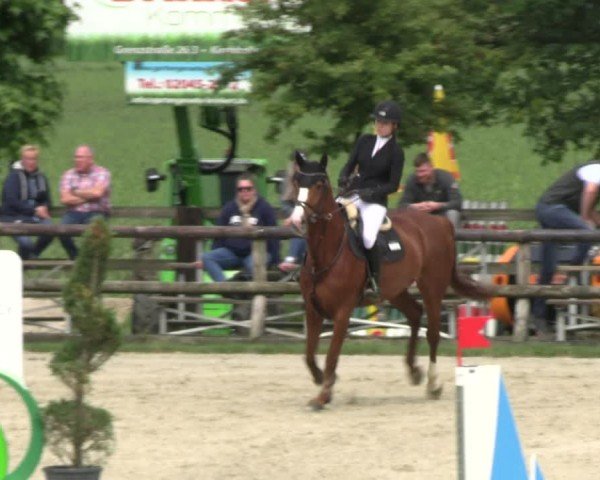 Reitturnier Kirchhellen/Stall Dieckmann 2024