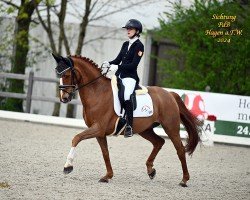 dressage horse Bermuda Bay (Westphalian, 2011, from Basic)