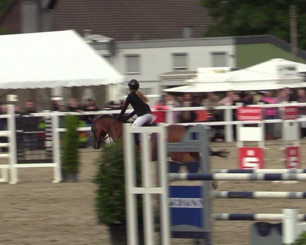 Reitturnier Dortmund-Somborn 2024
