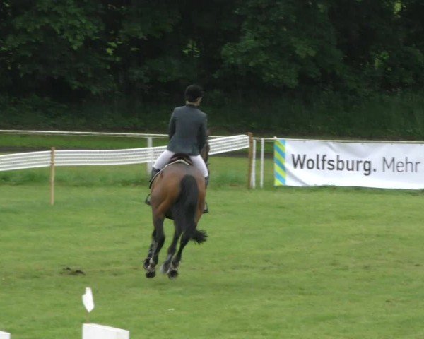 Reitturnier Wolfsburger Klassiker 2024