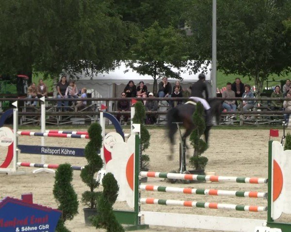Reitturnier Kirchhellen/Stall Dieckmann 2024