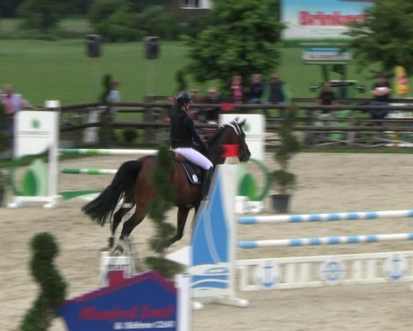 Reitturnier Kirchhellen/Stall Dieckmann 2024