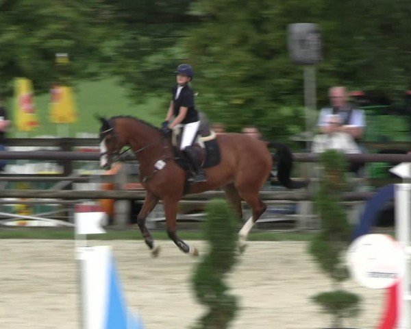 Reitturnier Kirchhellen/Stall Dieckmann 2024