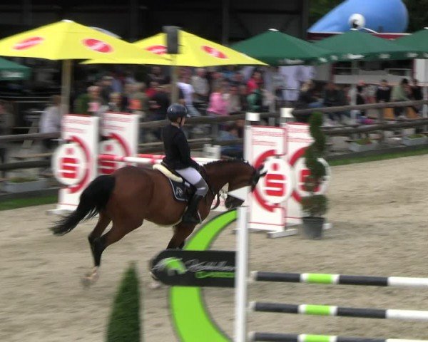 Reitturnier Kirchhellen/Stall Dieckmann 2024