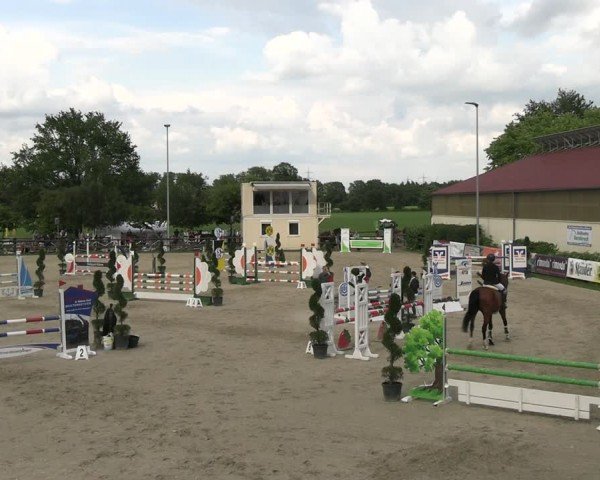 Reitturnier Kirchhellen/Stall Dieckmann 2024