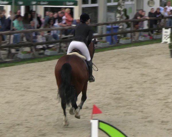 Reitturnier Kirchhellen/Stall Dieckmann 2024