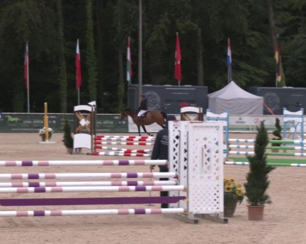 Reitturnier Ranshofen - Braunau am Inn 2024