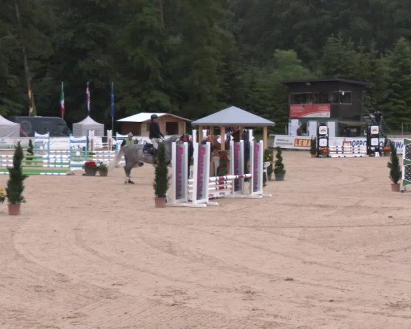 Reitturnier Ranshofen - Braunau am Inn 2024