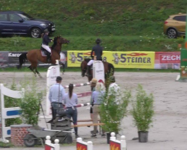 Reitturnier Zeltweg-Farrach 2022