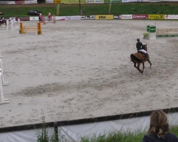 Reitturnier Zeltweg-Farrach 2022