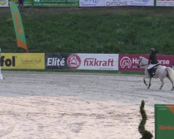 Reitturnier Zeltweg-Farrach 2022