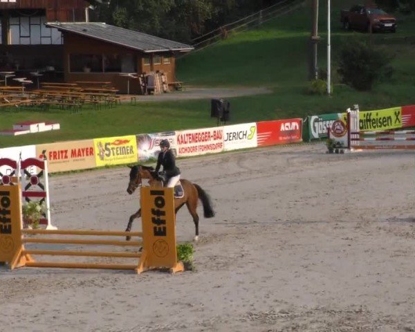 Reitturnier Zeltweg-Farrach 2022