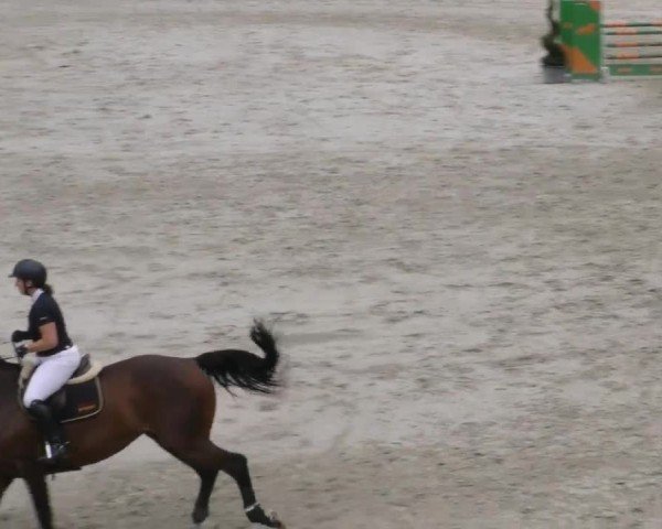 Reitturnier Zeltweg-Farrach 2022