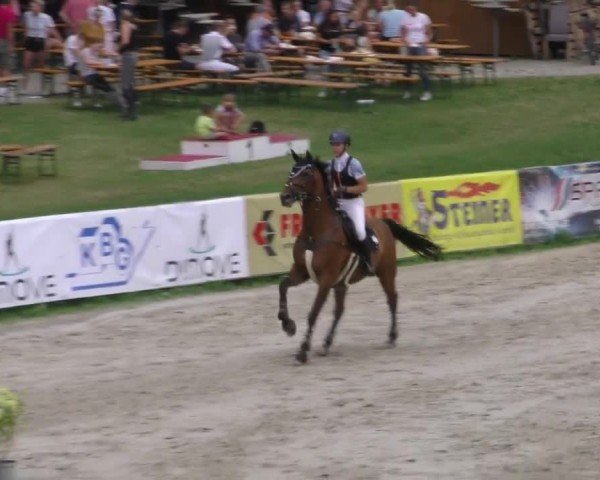 Reitturnier Zeltweg-Farrach 2022