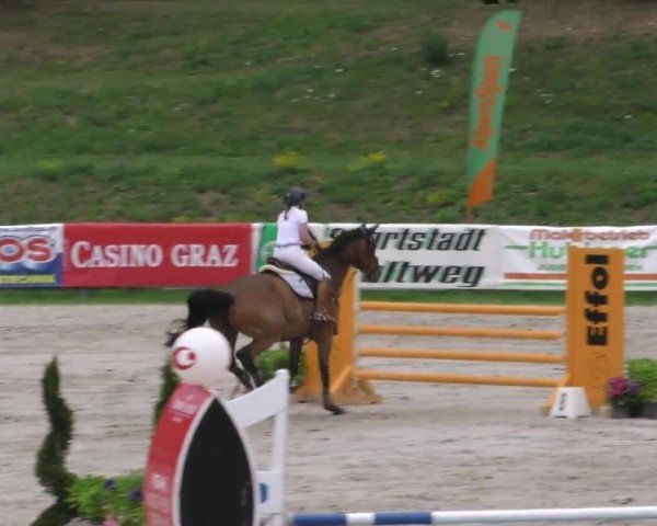 Reitturnier Zeltweg-Farrach 2022