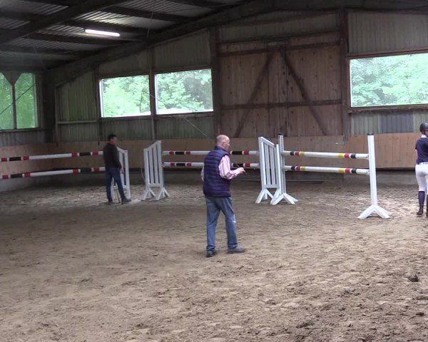 Westfälische Stutenleistungsprüfung Steinheim 2024