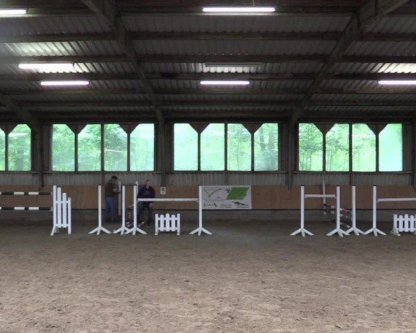 Westfälische Stutenleistungsprüfung Steinheim 2024