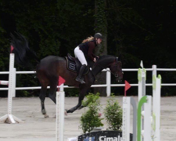 Reitturnier Losheim am See 2024