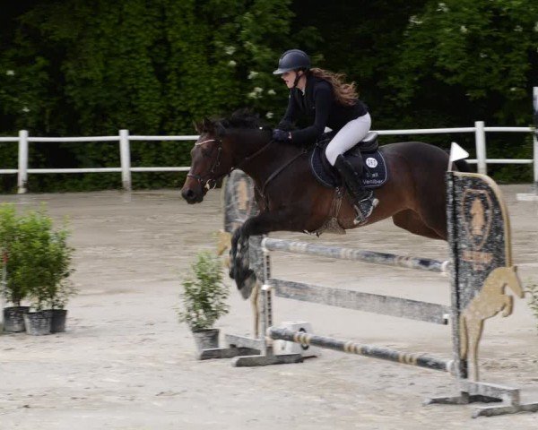 Reitturnier Losheim am See 2024