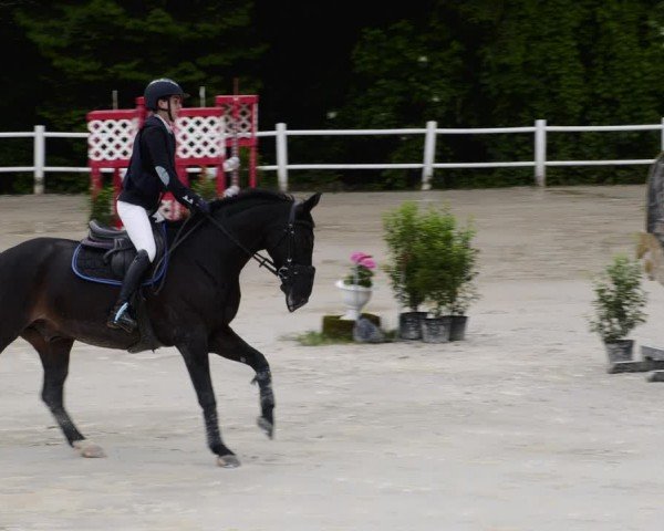 Reitturnier Losheim am See 2024