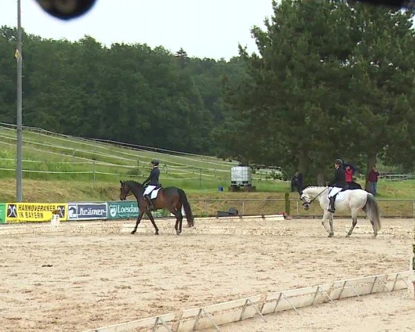 Reitturnier Münster/Ndb. 2024