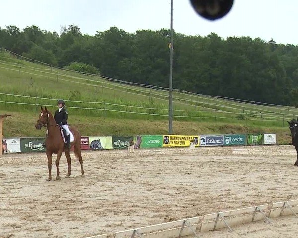 Reitturnier Münster/Ndb. 2024
