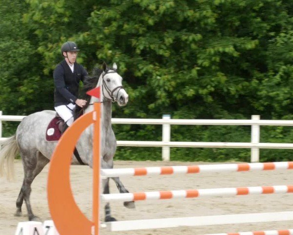 Reitturnier Nordstetten- Horb 2024