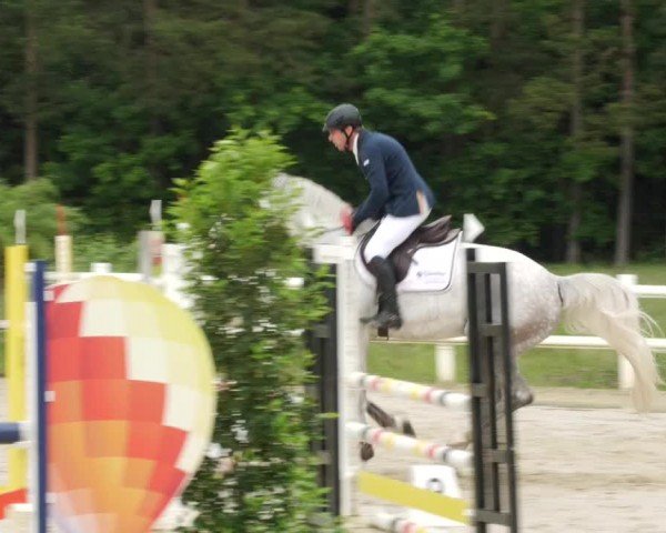 Reitturnier Nordstetten- Horb 2024