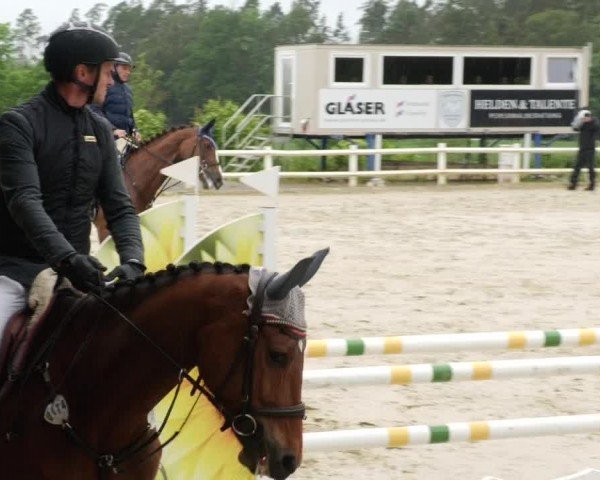 Reitturnier Nordstetten- Horb 2024