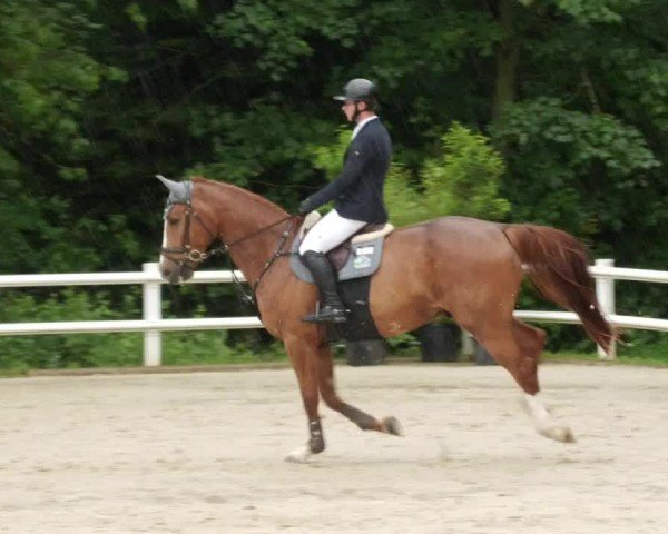 Reitturnier Nordstetten- Horb 2024