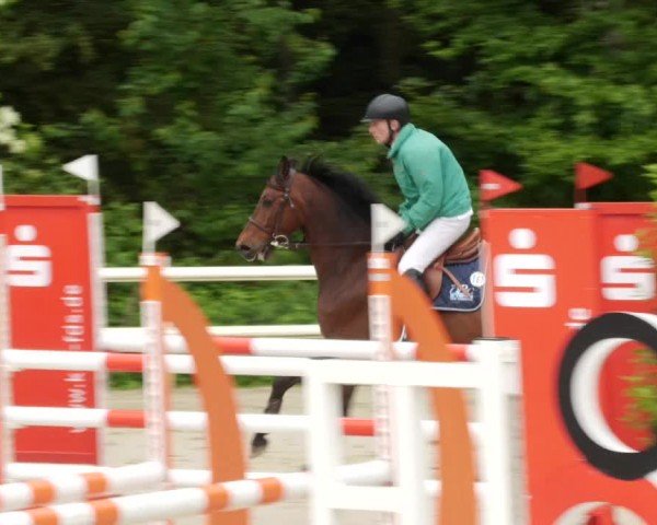 Reitturnier Nordstetten- Horb 2024