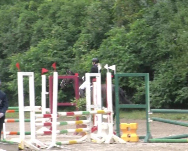 Reitturnier Klagenfurt 2023