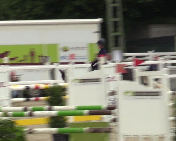 Reitturnier Dortmund-Somborn 2024