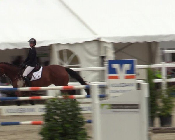 Reitturnier Dortmund-Somborn 2024
