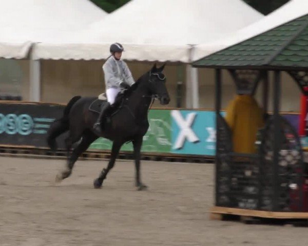 Reitturnier Gniebing-Feldbach 2023