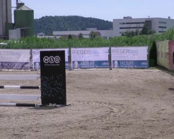 Reitturnier Gniebing-Feldbach 2023