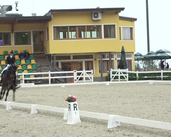 FEI Reitturnier St. Margarethen 2024