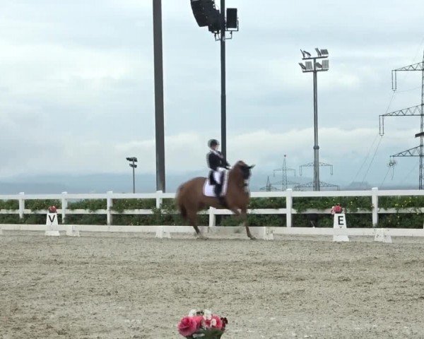 FEI Reitturnier St. Margarethen 2024