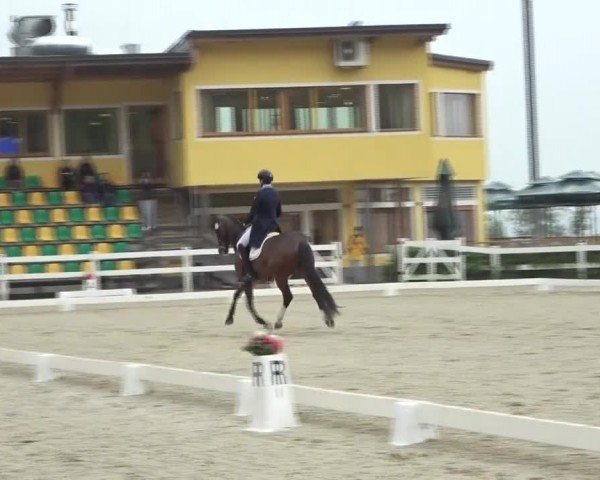 FEI Reitturnier St. Margarethen 2024