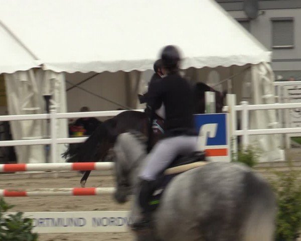 Reitturnier Dortmund-Somborn 2024