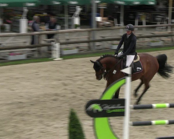 Reitturnier Kirchhellen/Stall Dieckmann 2024