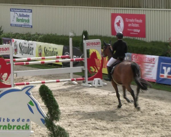 Reitturnier Kirchhellen/Stall Dieckmann 2024