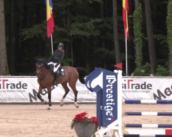 Reitturnier Ranshofen - Braunau am Inn 2024