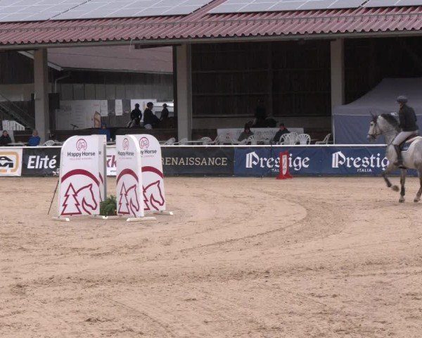 Reitturnier Ranshofen - Braunau am Inn 2024