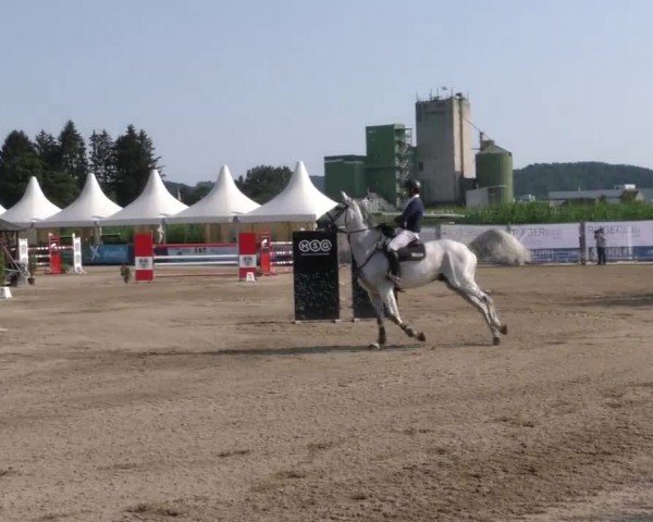 Reitturnier Gniebing-Feldbach 2023